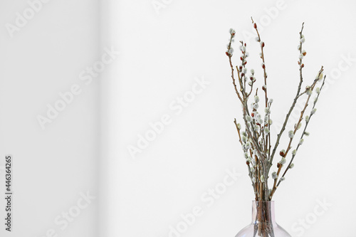 Vase with willow branches near light wall