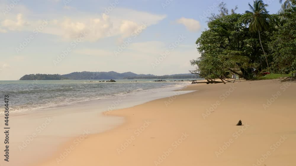 Beautiful dried tree root sticks out of sand on the tropical beach. Empty paradise sand beach. People travel vacations fun concept. Camera slowly moves near beautiful dead root and fly over the ocean.