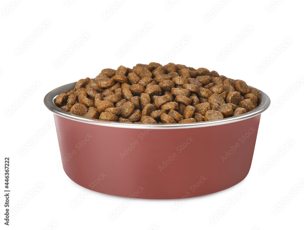 Dry dog food in pet bowl isolated on white Dry dog food in pet bowl isolated on white