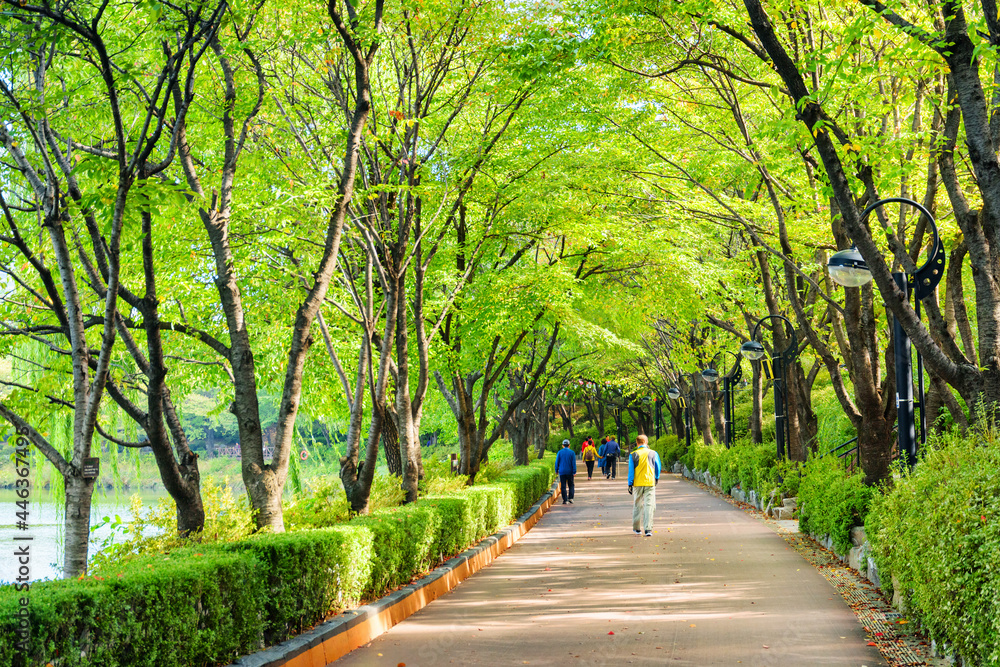 Tourists and residents walking along park in Seoul, South Korea