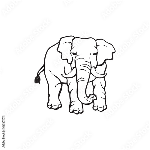 Vector of elephant design on white background  Vector elephant for your design template.