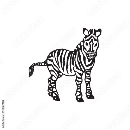 Zebra Logo Design. white animal with black stripes template.