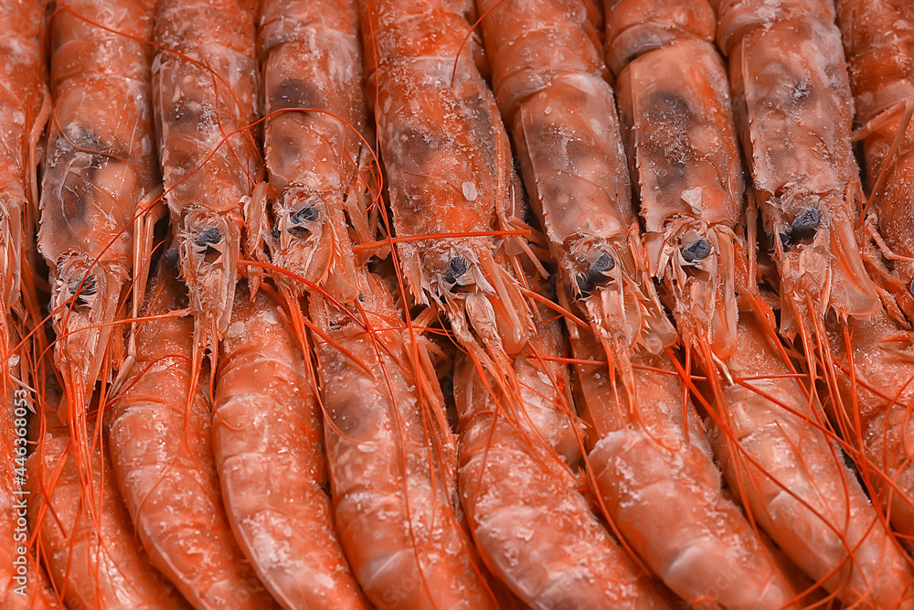 frozen king prawns, macro background seafood, fresh red prawns frozen king prawns, macro background seafood, fresh red prawns