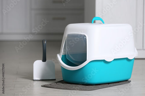 Cat litter box and scoop on floor in room