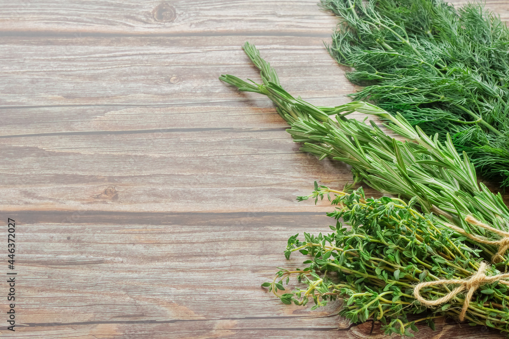 Empty space for text. Greens. Thyme, rosemary, dill on a brown boardwalk table. Empty space for text. Greens. Thyme, rosemary, dill on a brown boardwalk table.