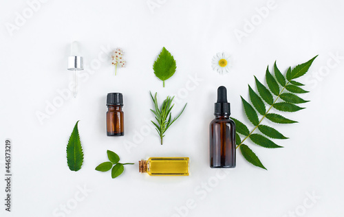 Ingredients of natural cosmetics top view