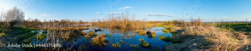 colorful panorama of autumn lake on a bright sunny day