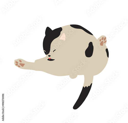 毛づくろいする猫-ブチ猫