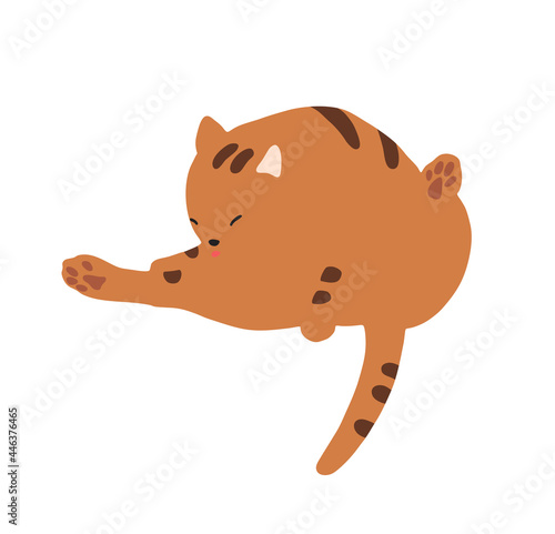 毛づくろいする猫-トラ猫