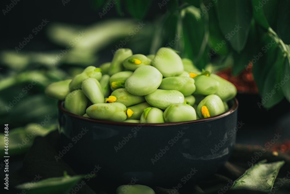 Broad bean. Fresh broad beans with spices. Green beans. - obrazy, fototapety, plakaty 