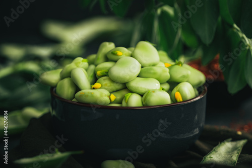 Broad bean. Fresh broad beans with spices. Green beans.