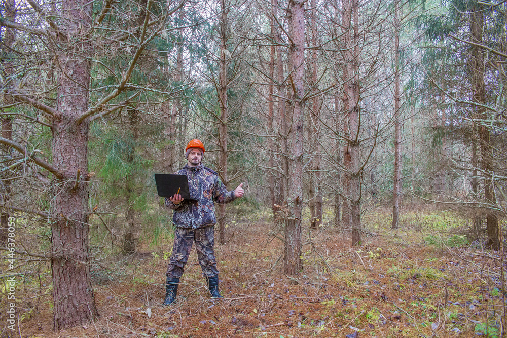 Forest engineer works in the forest with a computer. An ecologist in a young forest holds a computer in his hands.