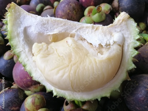 Durian and Mangosteen