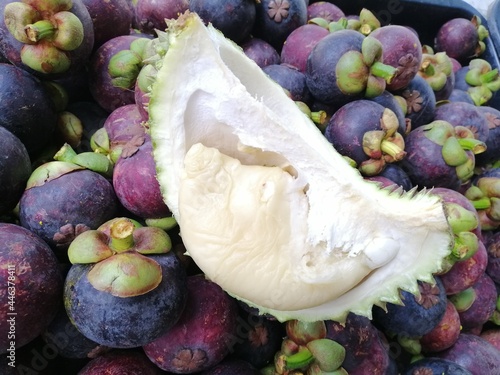 Durian and Mangosteen