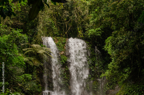 Cachoeira da Andorinha - Xerém.Reserva Biológica do Tinguá.