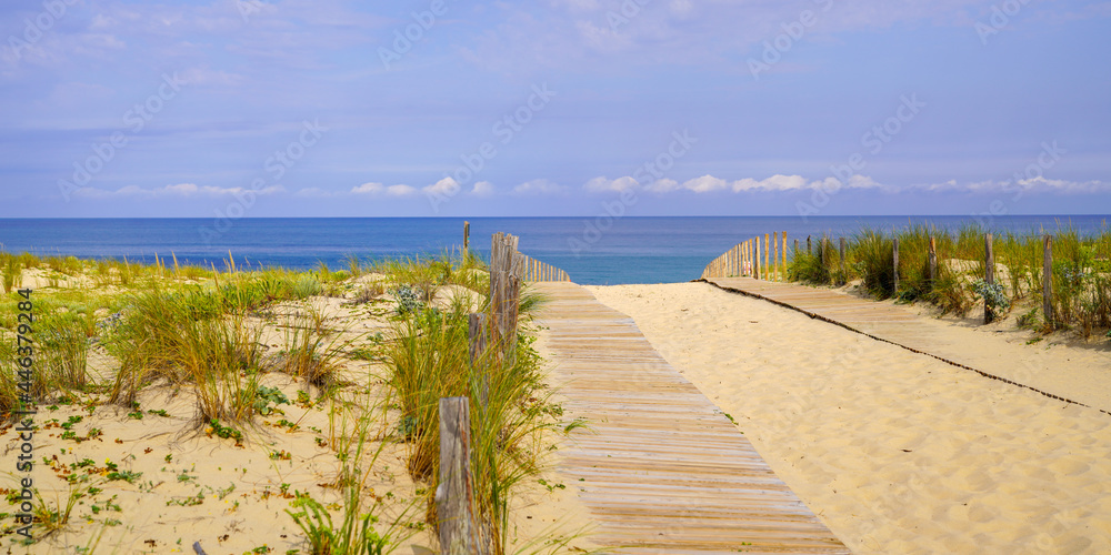 dunes sea access on bright summer day view header panoramic in Cap-Ferret ocean atlantic beach
