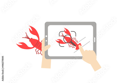 タブレットの画像検索機能を利用する手元のイラスト