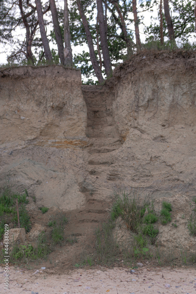 Obraz premium tree in the mountains