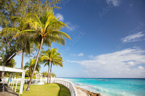 Fototapeta Naklejka Na Ścianę i Meble -  Summer on Barbados Island. Exotic vacations. Palm trees. Turquoise water. Sunny blue sky. Beautiful white-sand beach.