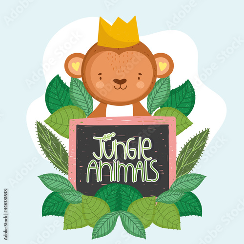 cute monkey jungle