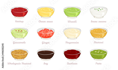 Set of different sauces and dressings in glass bowls. Vector illustration of dips in cartoon flat style.
