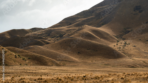 Rolling hills at Lindis Pass, South Island, New Zealand