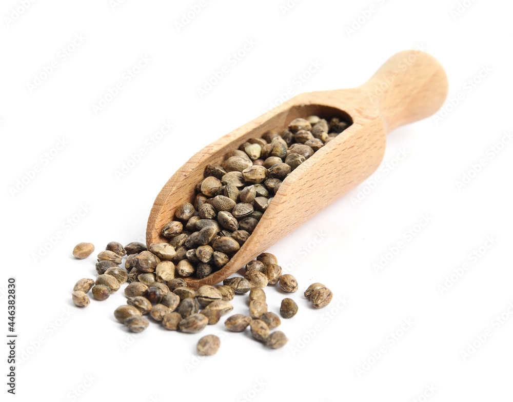 Wooden scoop with hemp seeds on white background Wooden scoop with hemp seeds on white background