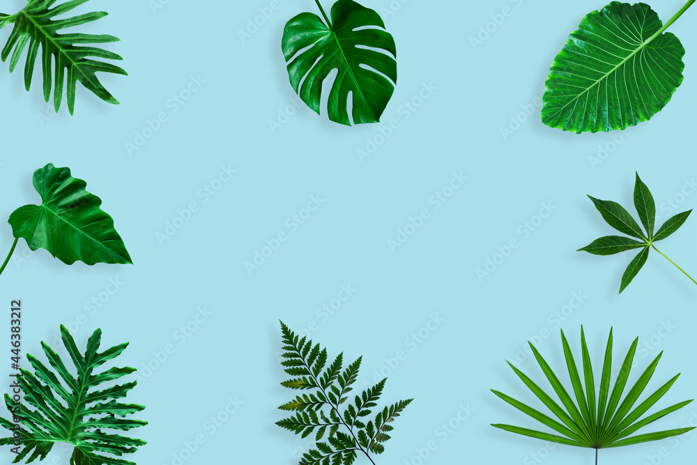 top view of tropical leaf on blue color background. minimal summer concept, flat lay, copy space