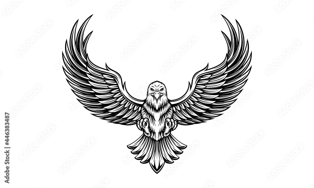 Eagle with open wings isolated vector Eagle with open wings isolated vector