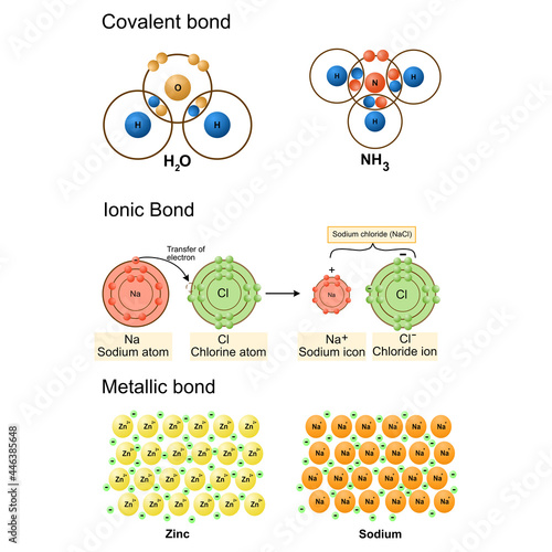 Isolated of chemical bonding on white background.vector illustration.covalent bond,Ionic bond,Metallic bond model. Science,education.