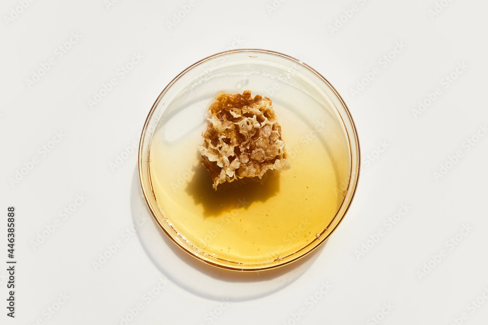 Abstract cosmetic laboratory. Chemical laboratory research. Nature cosmetics with honey. Abstract cosmetic laboratory. Chemical laboratory research. Nature cosmetics with honey.
