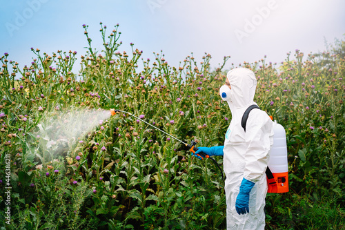 Man in protective workwear spraying glyphosate herbicide on weeds