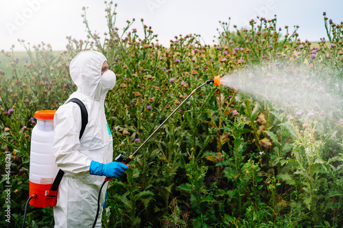 Canvas Print Man in protective workwear spraying ghyphosate herbicide on weeds