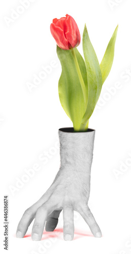 Tulip flower in the wrong side of a hand - Human hand vase photo