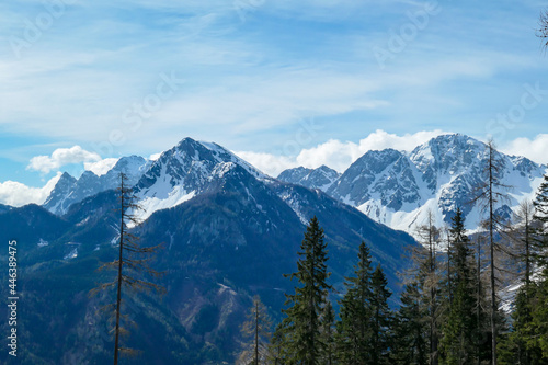 A close up view on the sonw-capped Alps in Slovenia. There are thick, white clouds behind the mountains. There are a few trees in the frame. Idyllic landscape. Cloudy, but sunny day. Calmness © Chris