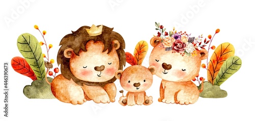 Watercolor hand drawn lion family king of the jungle