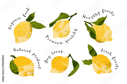 Juicy lemon. Fresh citrus fruit, healthy organic food. Ripe yellow fruits with leaves. Vector flat cartoon botanical illustration. Perfect for logo, stamp, brand, mark