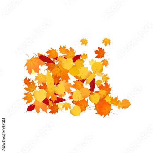 Pile of fallen leaves. Heap of orange, yellow and red autumn leaves