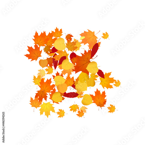 Pile of fallen leaves. Heap of orange, yellow and red autumn leaves