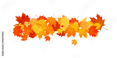 Pile of fallen leaves. Decorative line of orange, yellow and red autumn leaves