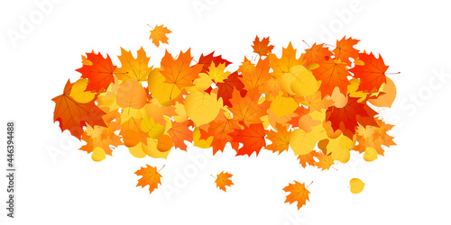 Pile of fallen leaves. Decorative line of orange, yellow and red autumn leaves