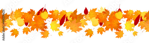 Decorative autumn banner line with of orange leaves.