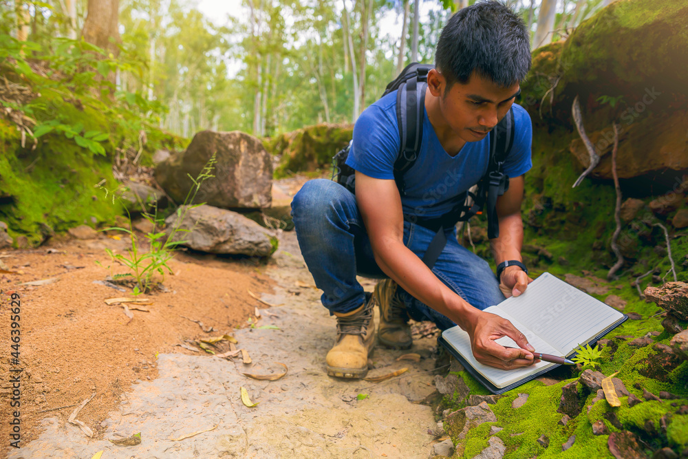Biologist or botanist recording information about small tropical plants in forest. The concept of hiking to study and research botanical gardens by searching for information. - obrazy, fototapety, plakaty 