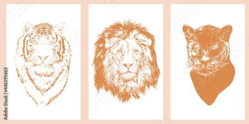 Wild cats. Savana. Lion, tiger and panther poster set. Contour graphics, isolated background, pastel colors. Vector illustration.
