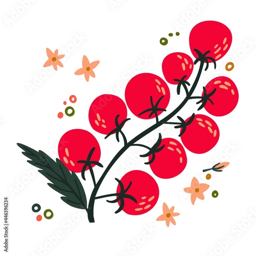 flat cherry tomato drawn by hands. Flat vegetables on white. Vegan, farmed, natural
