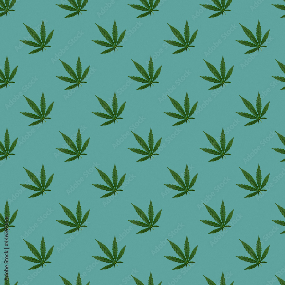 Hemp or cannabis leaves seamless pattern. Hemp or cannabis leaves seamless pattern.