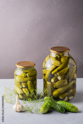 Pickled cucumbers in the jar. Ingredients for pickling cucumbers. Cucumbers, dill, garlic. Glass jars with pickles