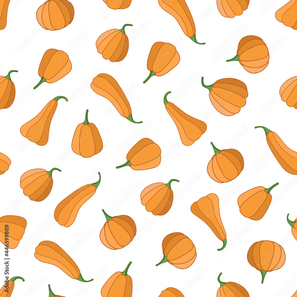 Seamless pattern of different shapes of pumpkins, background from the autumn harvest of pumpkins.