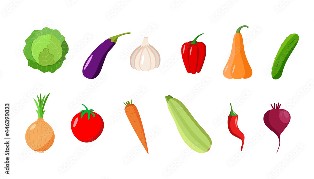 A set of different vegetables. Vector illustration of seasonal autumn harvest. A set of different vegetables. Vector illustration of seasonal autumn harvest.
