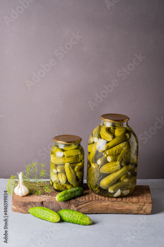 Pickled cucumbers in the jar. Ingredients for pickling cucumbers. Cucumbers, dill, garlic. Glass jars with pickles